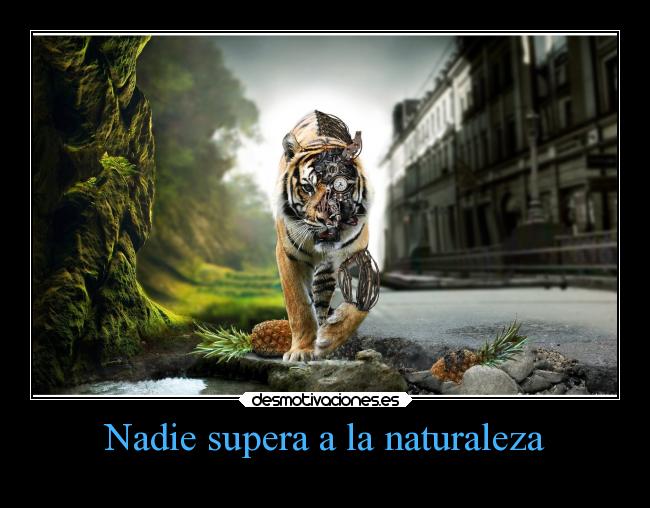 Nadie supera a la naturaleza -