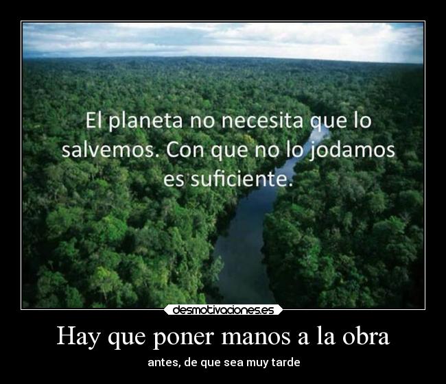 carteles naturaleza problemas sentimientos sociedad vida mundo desmotivaciones