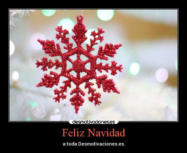 Feliz Navidad - 