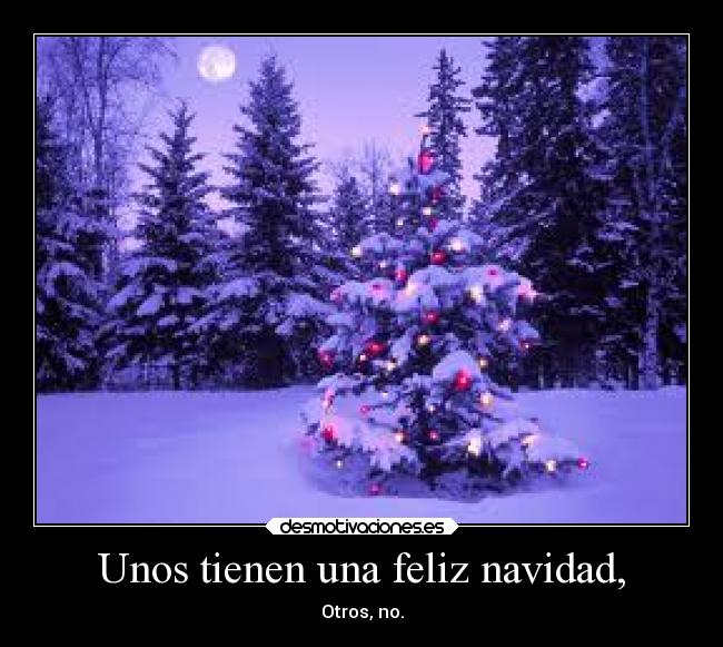 Unos tienen una feliz navidad, - 