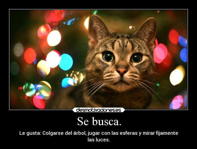 carteles navidad feliz 2013 desmotivadores desmotivaciones