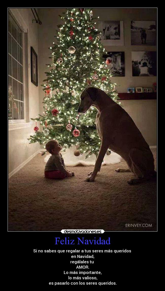 Feliz Navidad - Si no sabes que regalar a tus seres más queridos
en Navidad,
regálales tu
AMOR.
Lo más importante,
lo más valioso,
es pasarlo con los seres queridos.