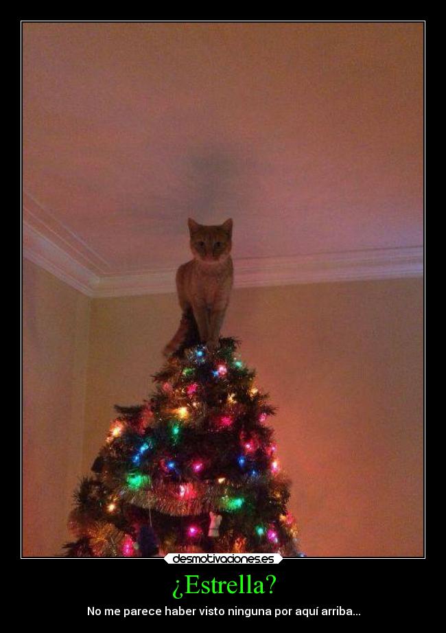 ¿Estrella? - No me parece haber visto ninguna por aquí arriba...