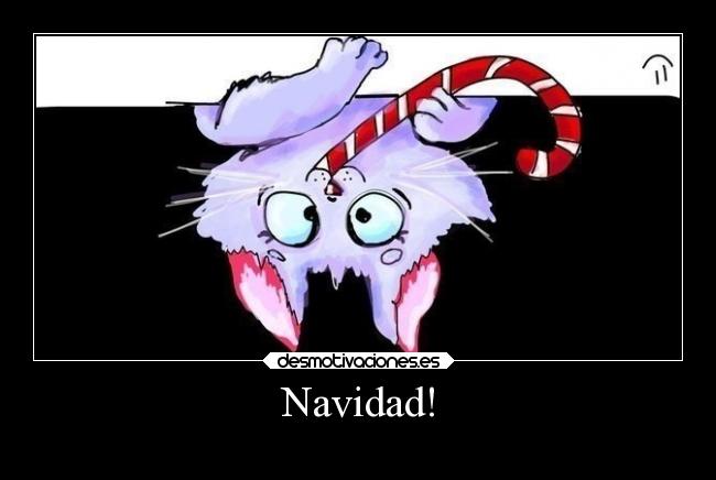 Navidad! - 