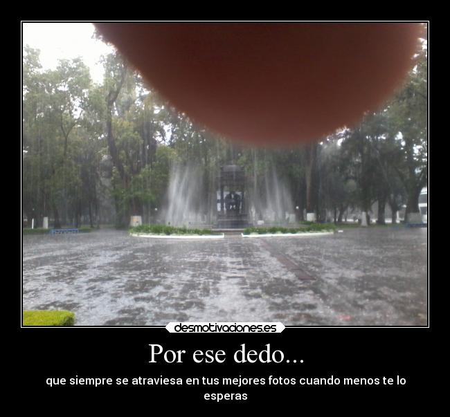 Por ese dedo... - que siempre se atraviesa en tus mejores fotos cuando menos te lo
esperas