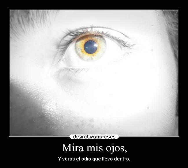 Mira mis ojos, -