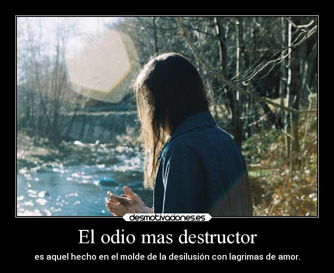 El odio mas destructor - es aquel hecho en el molde de la desilusión con lagrimas de amor.