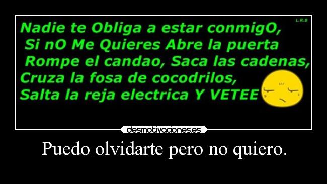 Puedo olvidarte pero no quiero. -
