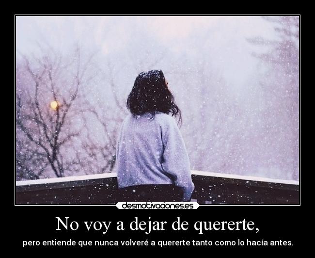No voy a dejar de quererte, - pero entiende que nunca volveré a quererte tanto como lo hacía antes.
