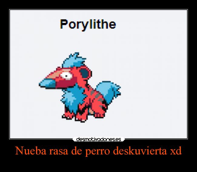 Nueba rasa de perro deskuvierta xd -