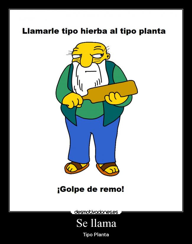 Se llama - Tipo Planta