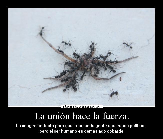 La unión hace la fuerza. - La imagen perfecta para esa frase sería gente apaleando políticos,
pero el ser humano es demasiado cobarde.