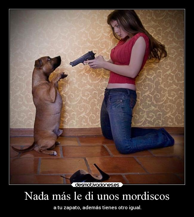 carteles risa vida karaoke frasedeunmeme zapato perro karaokegraciosa alegriaquenadietelaquite desmotivaciones