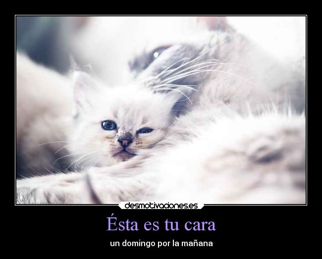 Ésta es tu cara - un domingo por la mañana