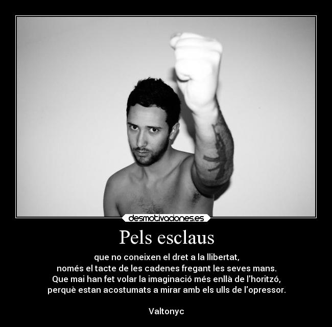 carteles sham6998 valtonyc sublime rap politico combativo lluita desmotivaciones