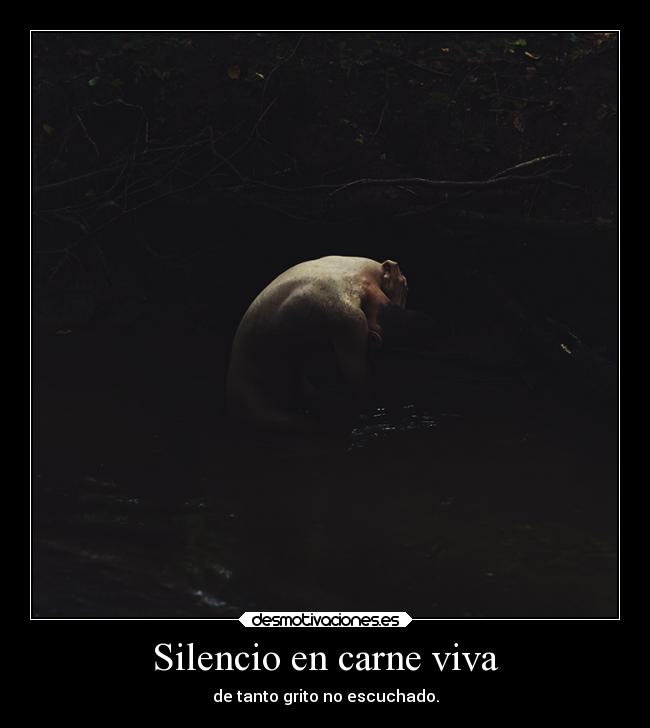 Silencio en carne viva -