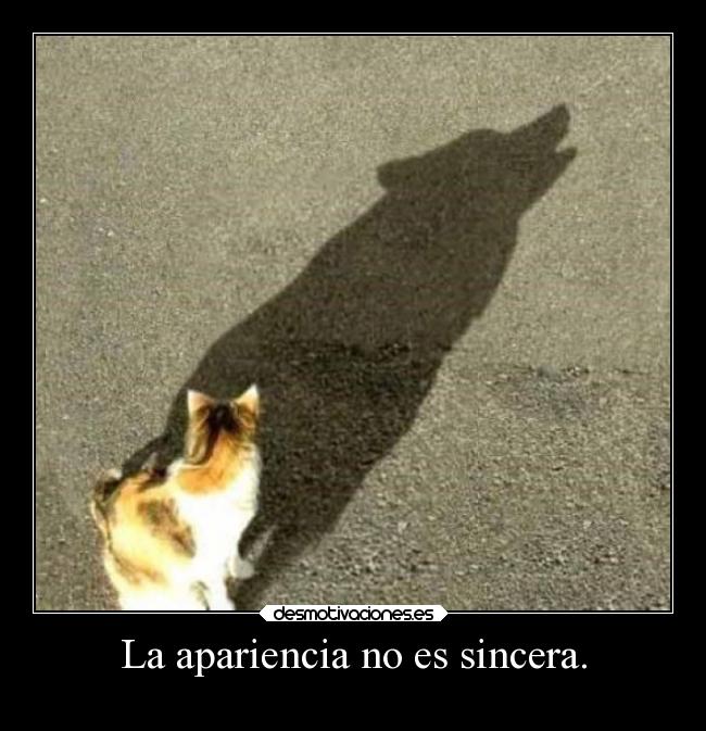 La apariencia no es sincera. -
