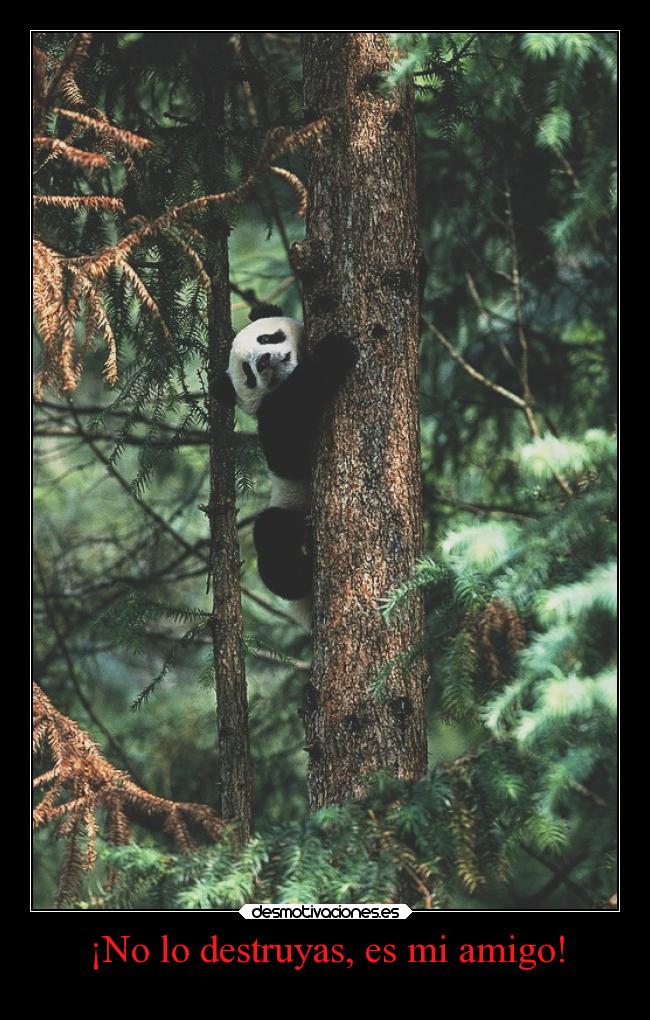 carteles soad arboles talar desmotivaciones