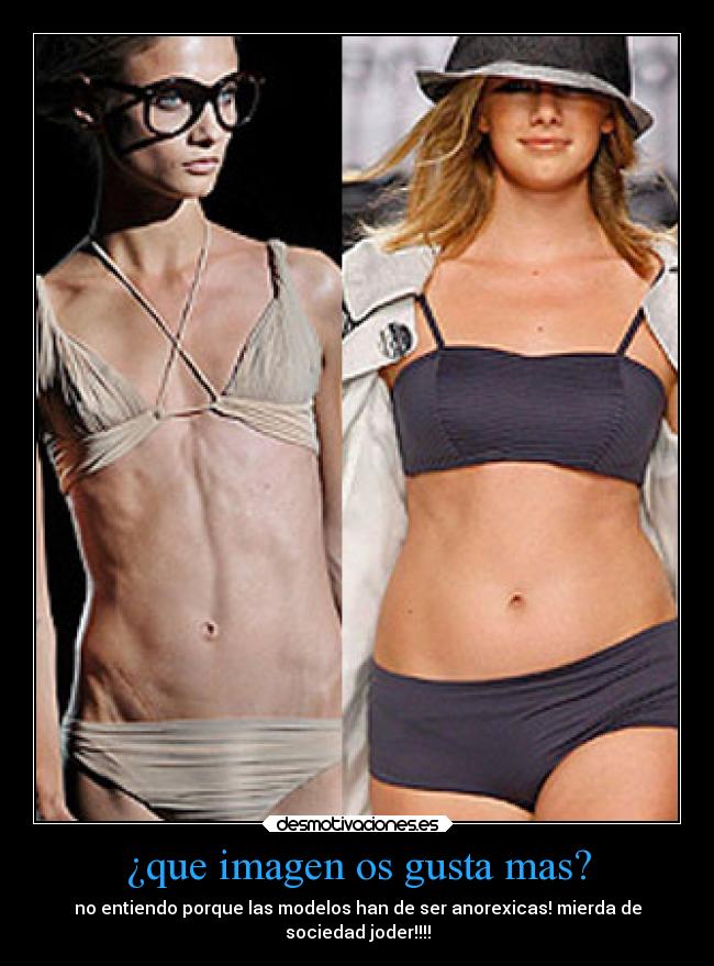 carteles sociedad mierda desmotivaciones