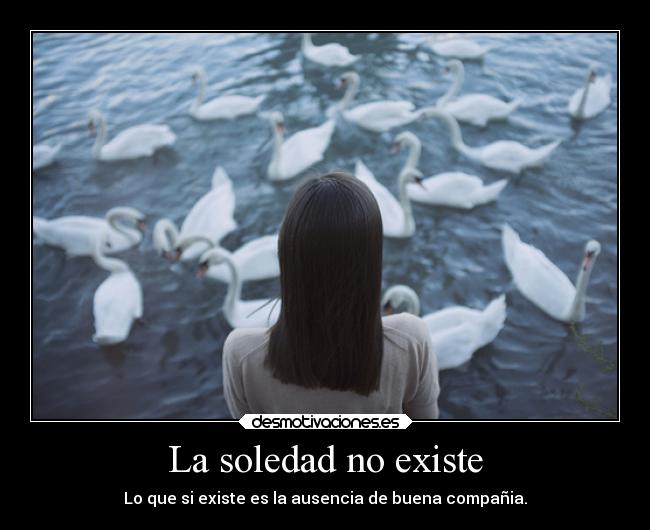 La soledad no existe - Lo que si existe es la ausencia de buena compañia.