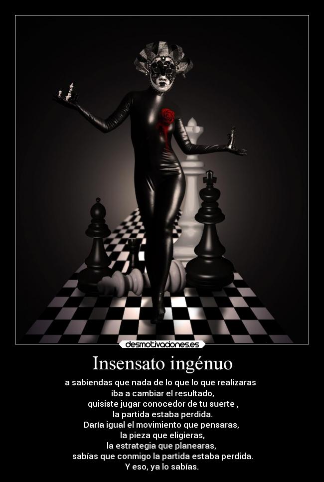 Insensato ingénuo - 