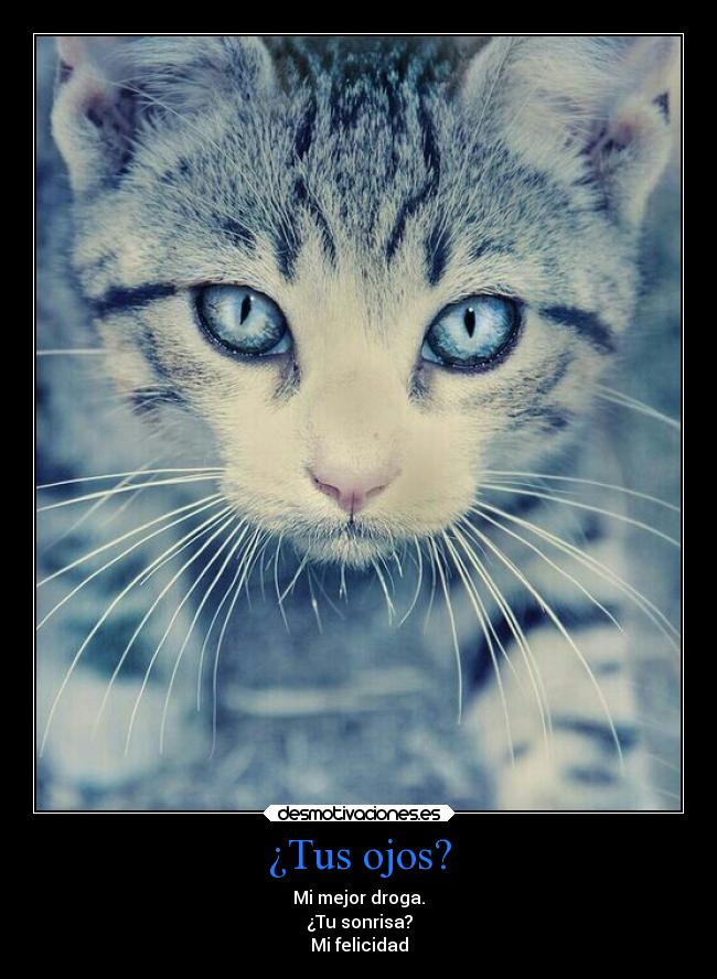¿Tus ojos? - 