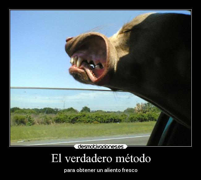 El verdadero método - para obtener un aliento fresco