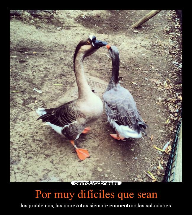 Por muy difíciles que sean -