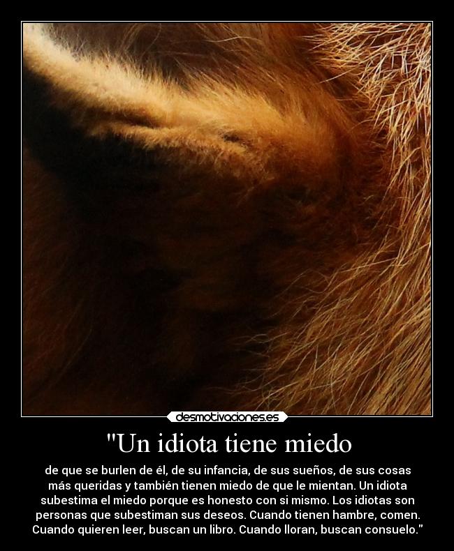 Un idiota tiene miedo -