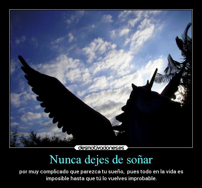 Nunca dejes de soñar - 
