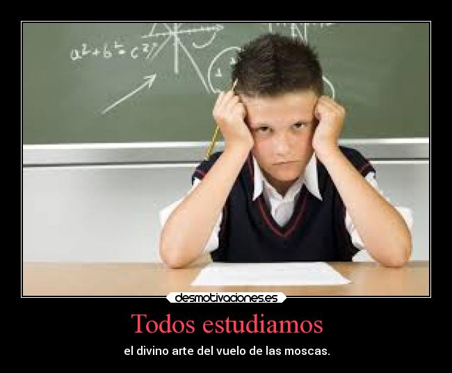 Todos estudiamos - 