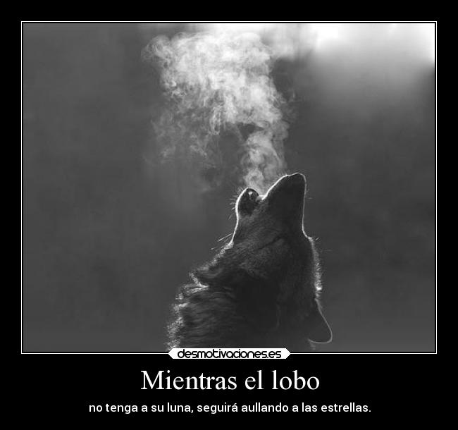 Mientras el lobo - 