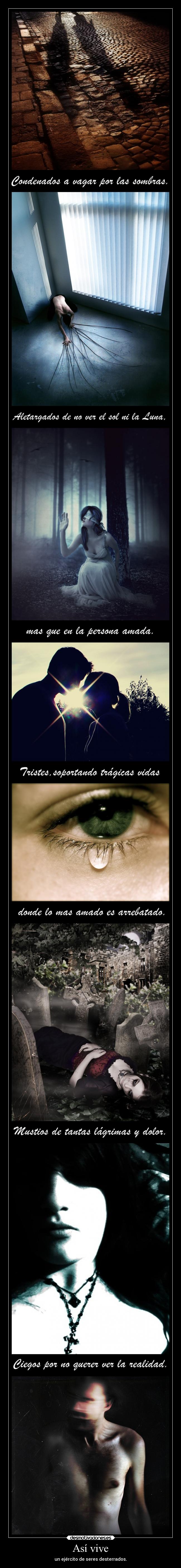 carteles tristeza silencio muerte dolor destino desmotivaciones ausencia angeles desmotivaciones