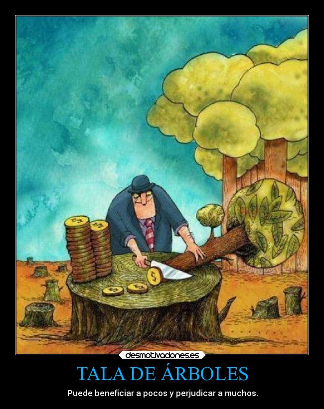 TALA DE ÁRBOLES -
