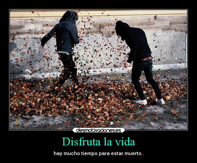 Disfruta la vida -