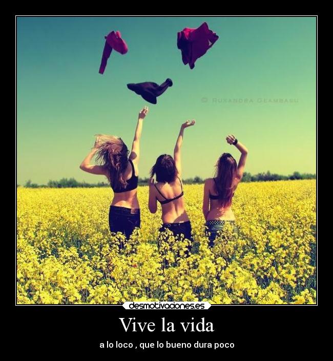 Vive la vida - 