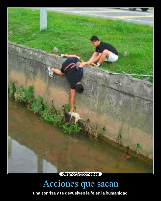 Acciones que sacan - 