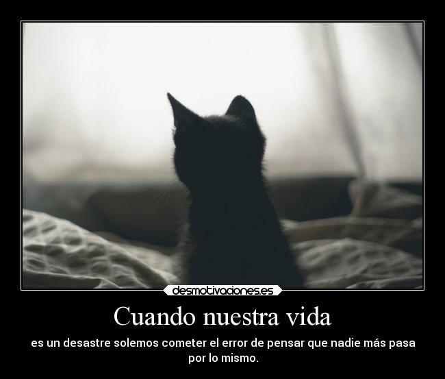 carteles vida amor losiento pero tambienestoyenproblemas avenovoladora santi lalala desmotivaciones