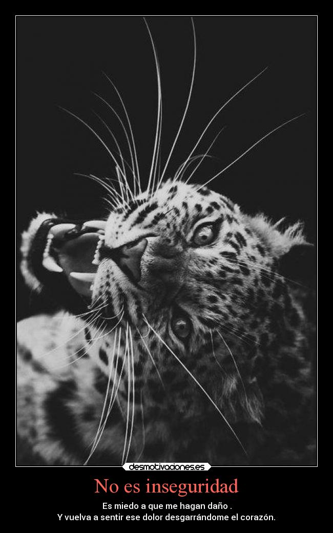 No es inseguridad - 