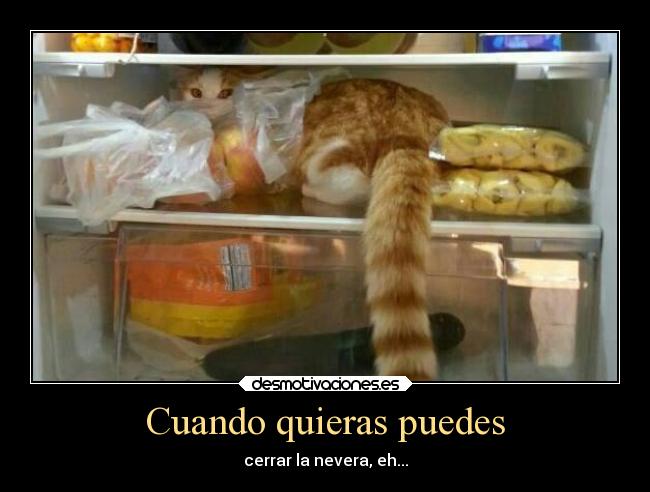 Cuando quieras puedes - 