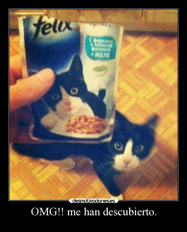 OMG!! me han descubierto. - 