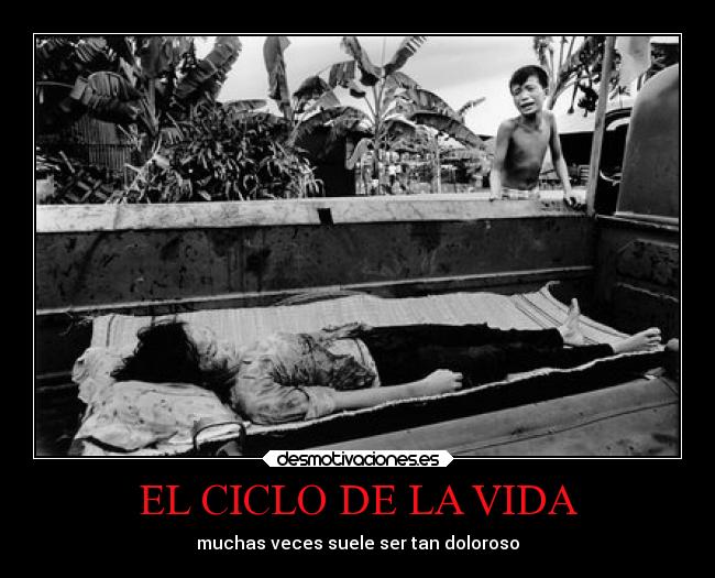 EL CICLO DE LA VIDA - muchas veces suele ser tan doloroso