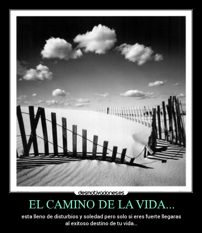 EL CAMINO DE LA VIDA... - 