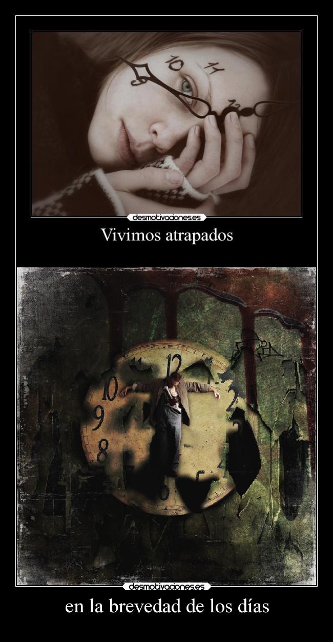 en la brevedad de los días -