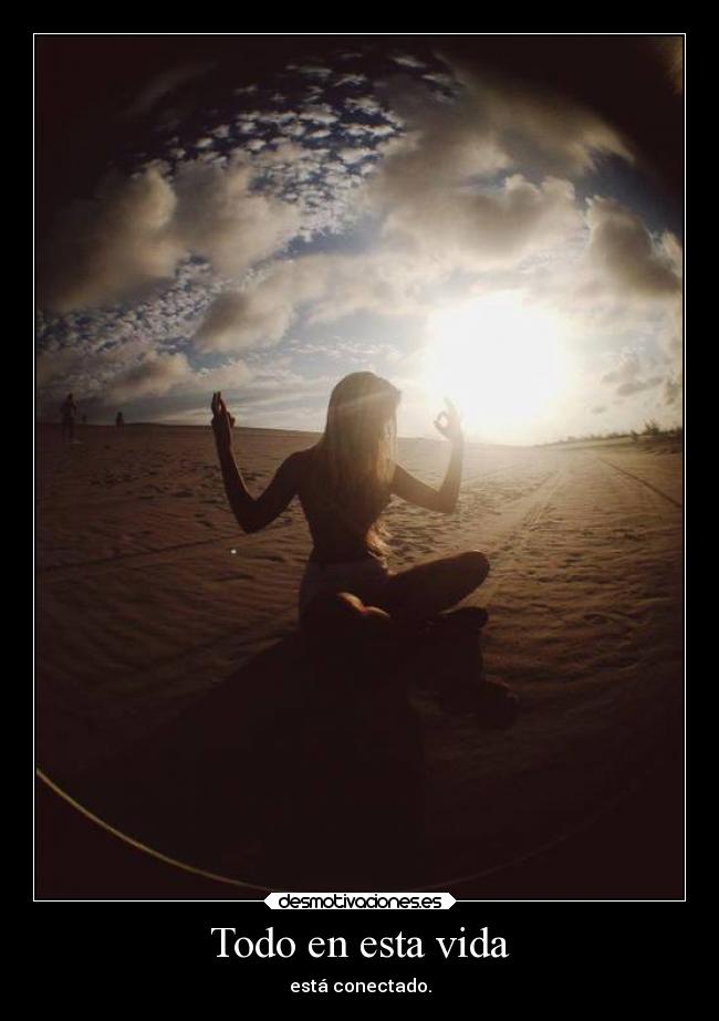 carteles vida vida conexion reflexion lolsomething desmotivaciones