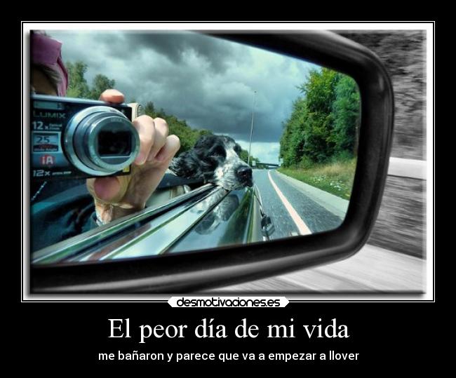 El peor día de mi vida - me bañaron y parece que va a empezar a llover