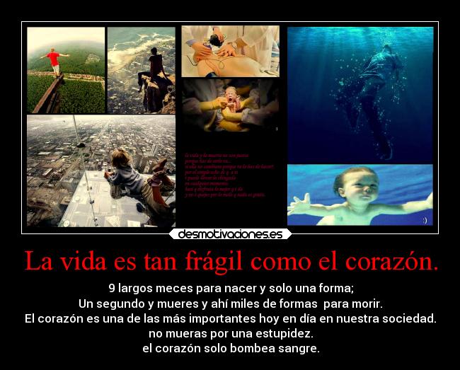 La vida es tan frágil como el corazón. - 9 largos meces para nacer y solo una forma;
Un segundo y mueres y ahí miles de formas para morir.
El corazón es una de las más importantes hoy en día en nuestra sociedad.
no mueras por una estupidez.
el corazón solo bombea sangre.