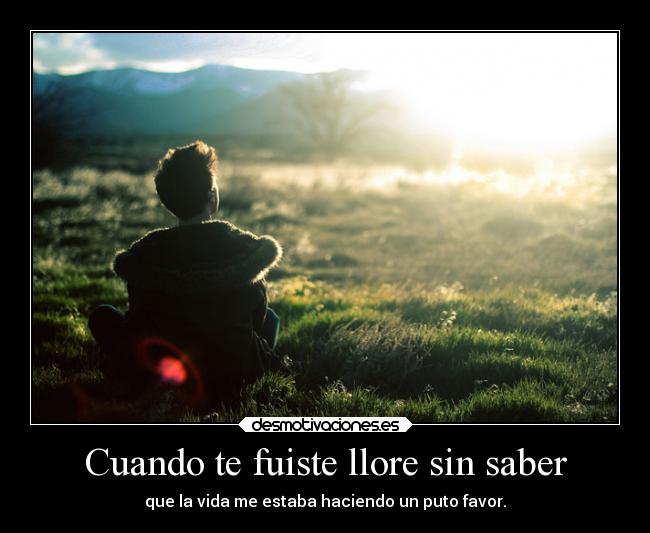 Cuando te fuiste llore sin saber -