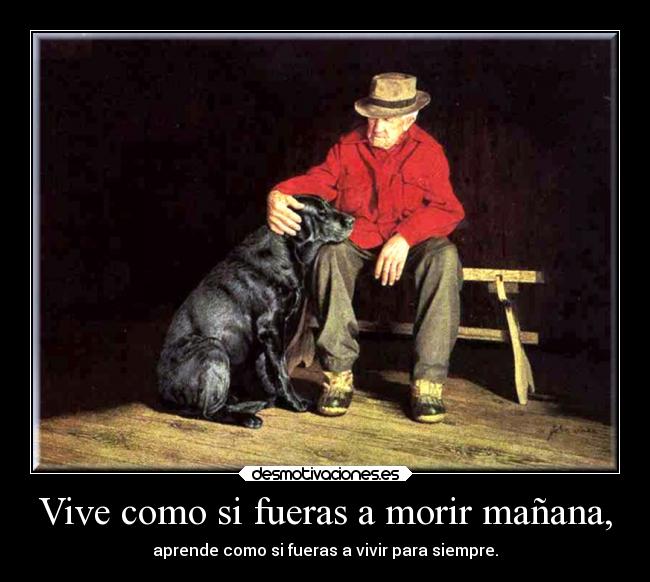 carteles vida desmotivaciones