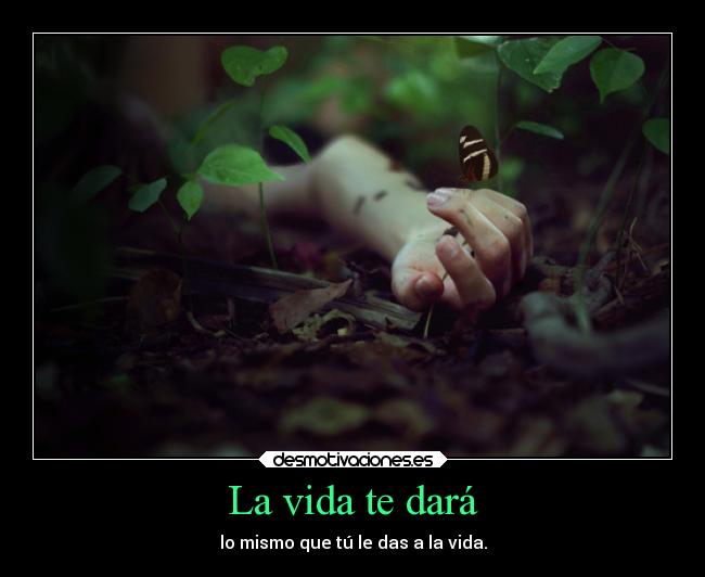 carteles vida vida desmotivaciones